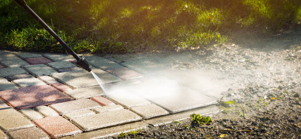 Best Dumpster Area Cleaning  in Rexland Acres, CA
