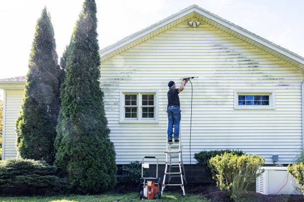 Best Sidewalk and Walkway Cleaning  in Rexland Acres, CA